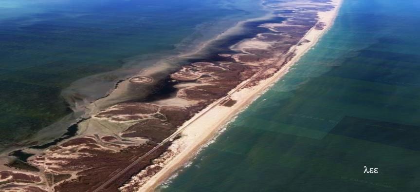 South Padre Stayz South Padre Island Dış mekan fotoğraf