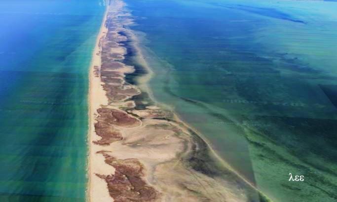 South Padre Stayz South Padre Island Dış mekan fotoğraf
