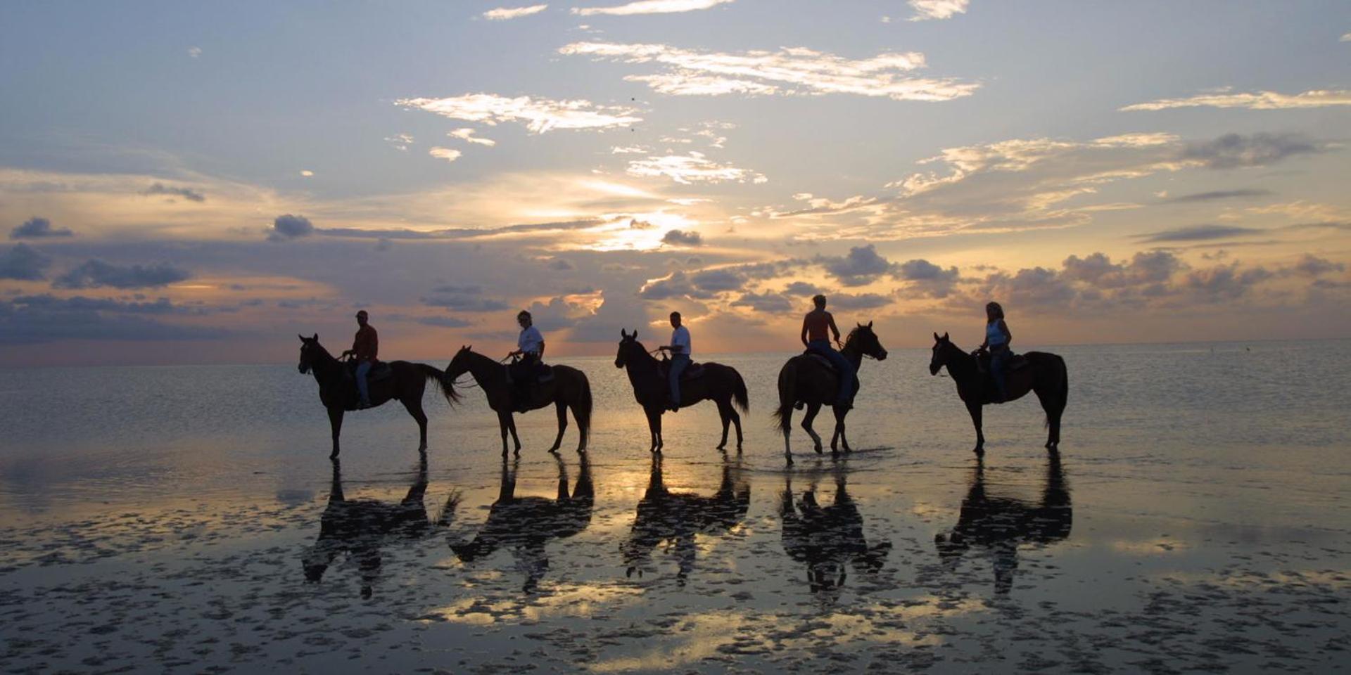 South Padre Stayz South Padre Island Dış mekan fotoğraf
